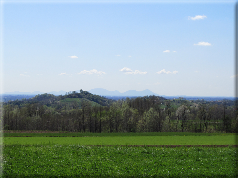 foto Paesaggi Collinari in Primavera